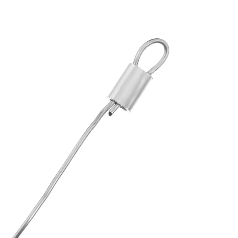 100PCs/Lot  0.8mm/1.0mm/1.2mm/ - Saltwater Line avis et prix