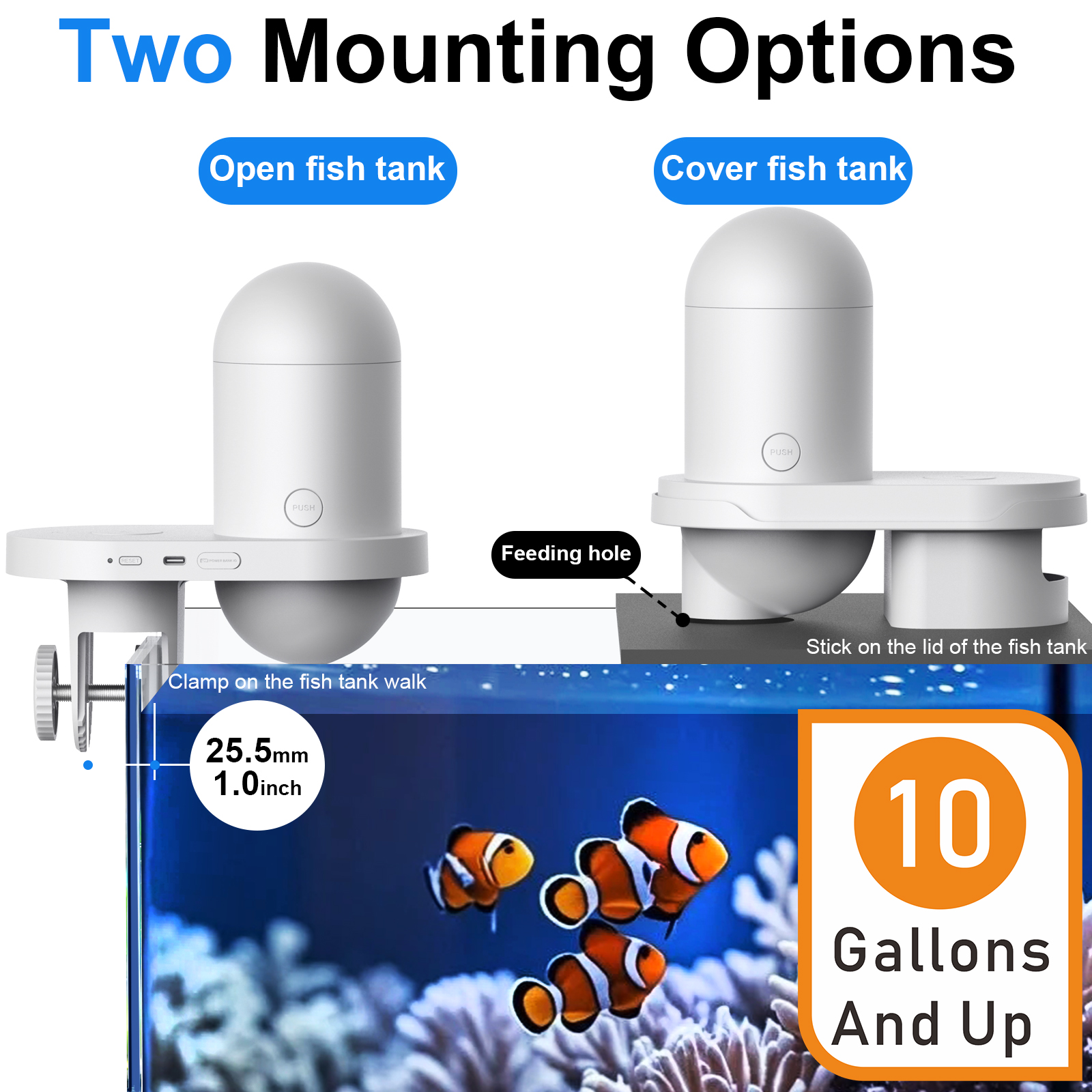 Automatic Fish Feeder With Cam - Fishing Line Dispenser avis et prix
