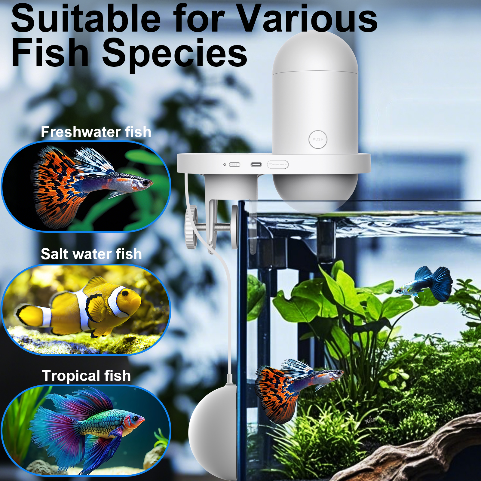 Automatic Fish Feeder With Cam - Fishing Line Dispenser avis et prix