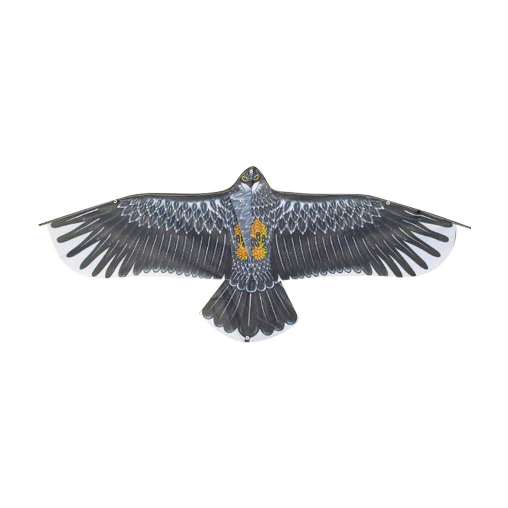 1.1m Eagle Kite With 30m Kite  - Fly Line avis et prix