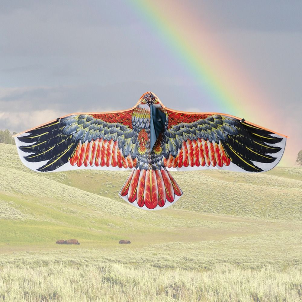 1.1m Eagle Kite With 30m Kite  - Fly Line avis et prix