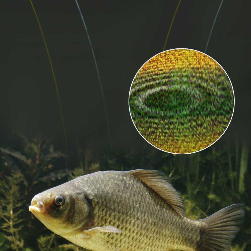 FTK 300M Invisible Fishing Lin - Fluorocarbon Line avis et prix
